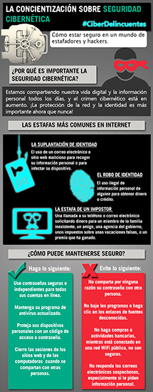 Cybersecurity Infographic (Español)